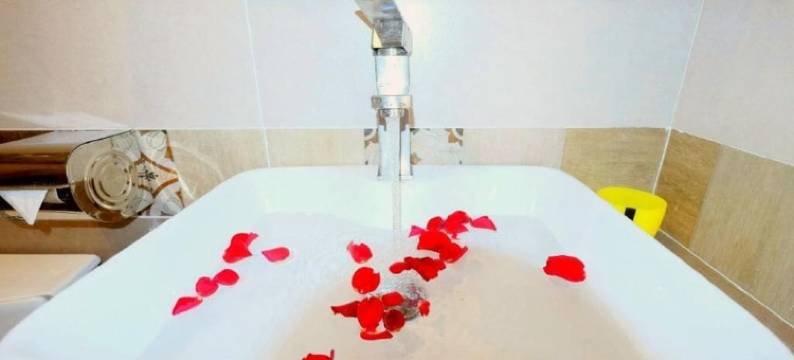 城市背包客青年旅馆(City Backpackers Hostel)图片