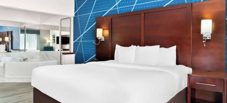 南菲尔德/底特律舒适套房酒店(Comfort Suites Southfield-Detroit)图片