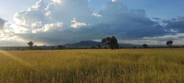 斯瓦拉阿卡西亚旅馆(Swara Acacia Lodge)图片