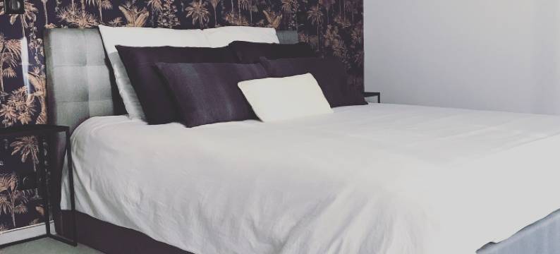 旺达尔盖绿洲酒店(L'Oasis Vendargues)图片