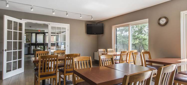 舒适酒店(Comfort Inn)图片