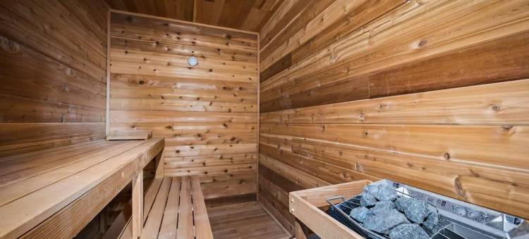 高端豪华小屋 桑拿 热水浴缸 游戏室(Round Top Way Cabin by Beyond Expectations)图片