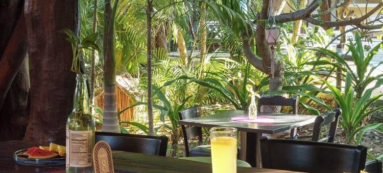 艾尔普伊比里托酒店(Exe El Pueblito)图片