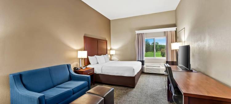 塔斯坎比亚-马斯尔肖尔斯舒适套房酒店(Comfort Inn and Suites - Tuscumbia/Muscle Shoals)图片