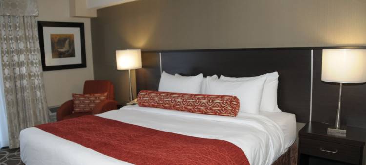 伯灵顿阿德米拉旅馆(Admiral Inn Burlington)图片