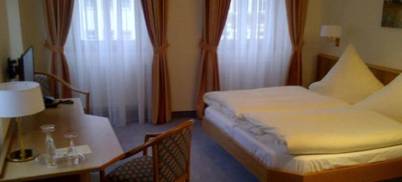 金狮酒店(Hotel Goldener Löwe)图片