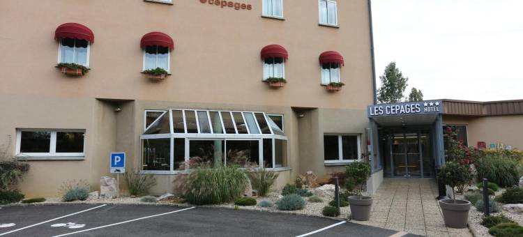 塞帕奇酒店(Logis Hotel des Cépages)图片