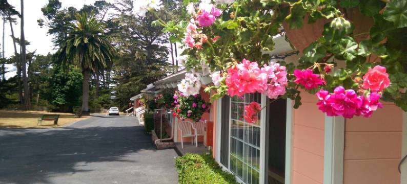 蝴蝶格罗夫旅馆(Butterfly Grove Inn)图片