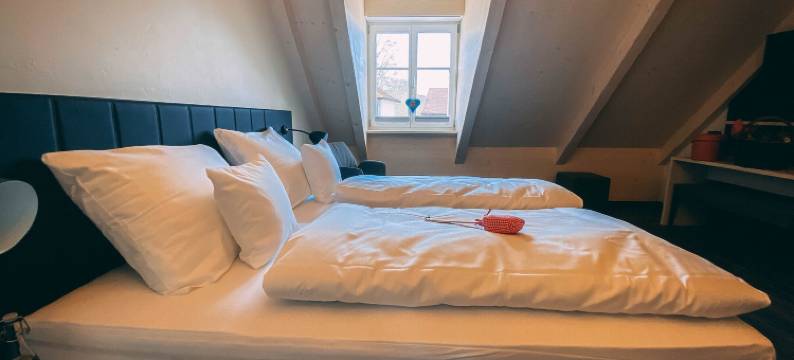 Stadthotel Haslach图片