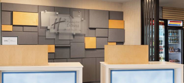 智选假日套房酒店-坦帕东/优博城(Holiday Inn Express & Suites Tampa East - Ybor City)图片