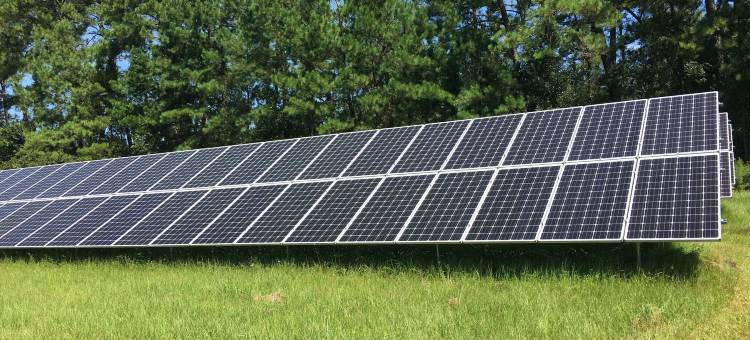 伊克诺旅馆(Econo Lodge Monticello)图片