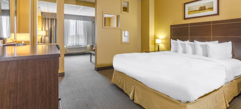 维多利亚维尔品质酒店套房(Quality Inn & Suites)图片