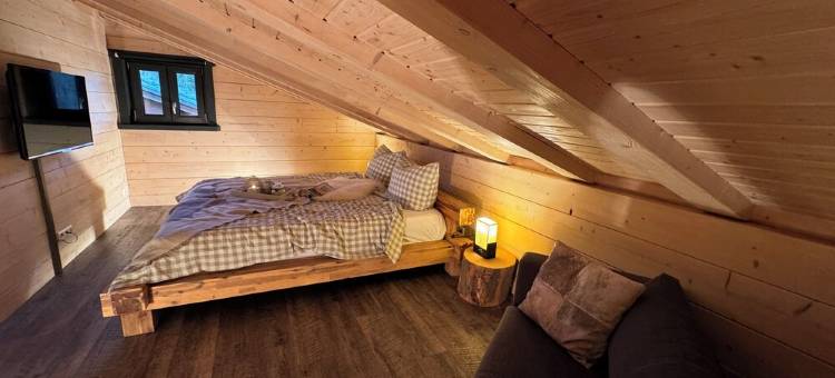 Log Cabins with Sauna, Fireplace, Terrace, Barbecue Etc. in Alpine Chalet Style图片