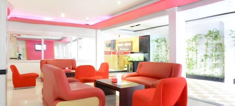 罗维精品酒店(Hotel Rovi Boutique)图片