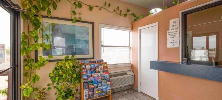 Oyo 德克萨斯州奥德萨I-20BL酒店(OYO Hotel Odessa TX, East Business 20)图片