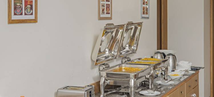 Treebo大希瓦伊(Treebo Grand Shivay)图片