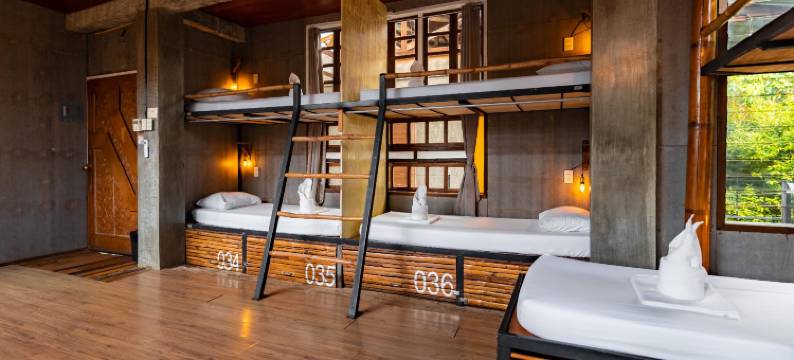 飞鱼青年旅馆(The Flying Fish Hostel)图片