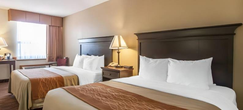 舒适酒店，位于千山(Comfort Inn at Thousand Hills)图片