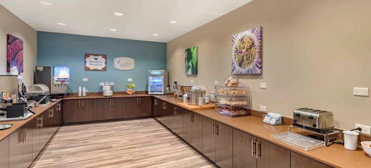 达拉斯南兰开斯特美茵斯坦套房酒店(MainStay Suites Lancaster Dallas South)图片