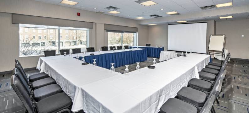 渥太华希尔顿欢朋酒店(Hampton Inn by Hilton Ottawa)图片