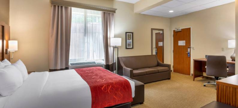 尤金舒适套房酒店(Comfort Suites Eugene)图片
