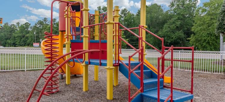 彼得斯堡舒适酒店，靠近李堡区域(Comfort Inn Petersburg Fort Lee Area)图片