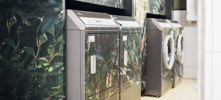 科沃尔贡比涅(COWOOL Compiègne)图片