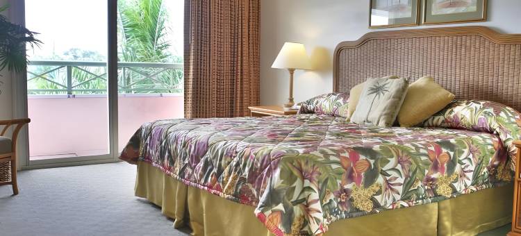 大巴哈马岛漂流套房度假村(Castaways Resort and Suites)图片