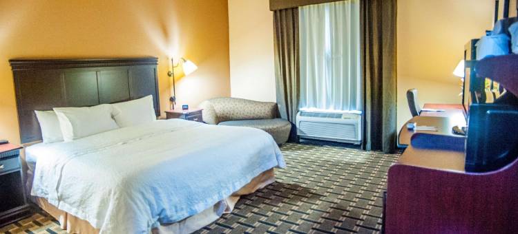 希尔顿欢朋套房酒店-帕勒斯坦(Hampton Inn & Suites Palestine)图片