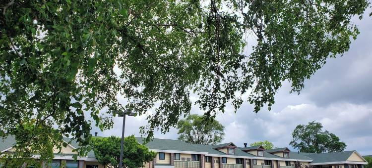 哈德森速8酒店(Super 8 by Wyndham Hudson)图片