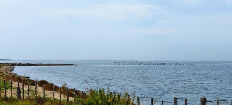 Holiday Home in Camargue with Private Pool图片