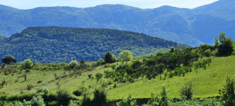 Chalet with garden in the Pyrenees图片