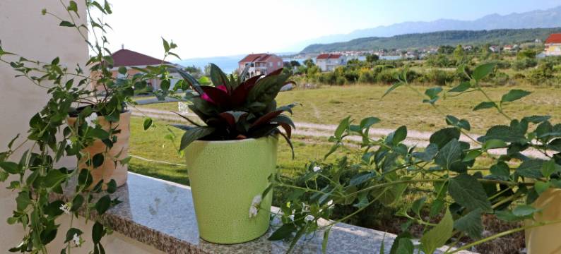 Apartment in Ljubac near the Sea图片