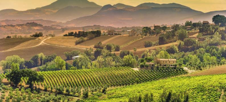 Villa w/ Wine Tours Near Beach图片