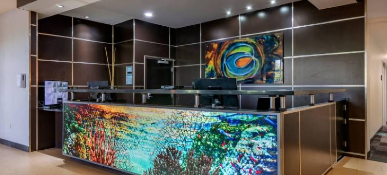 坎布里亚酒店-劳德代尔堡机场南及游轮港口(Cambria Hotel Ft Lauderdale, Airport South & Cruise Port)图片