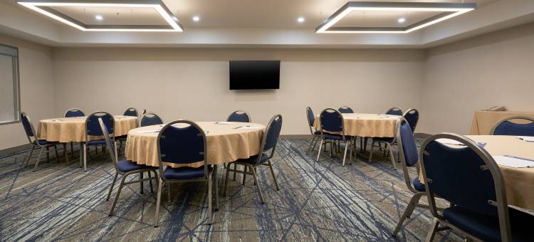 智选假日套房酒店急湍(Holiday Inn Express & Suites Swift Current)图片