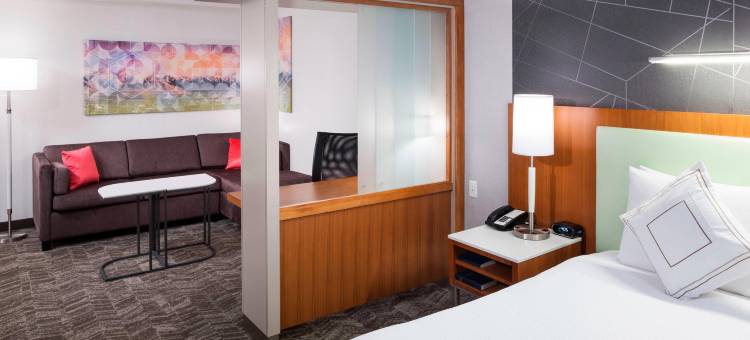 盐湖城机场SpringHill Suites酒店(SpringHill Suites Salt Lake City Airport)图片