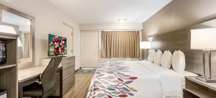 兰辛西红顶酒店-MSU(Red Roof Inn Lansing West - MSU)图片