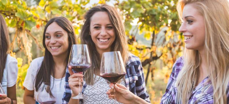 埃利贾伊東部斯特拉特福汽车旅馆(Stratford Motor Inn East Ellijay)图片