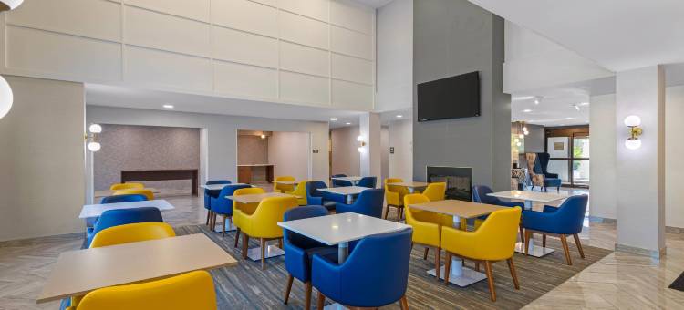 舒适酒店及套房(Comfort Inn & Suites)图片