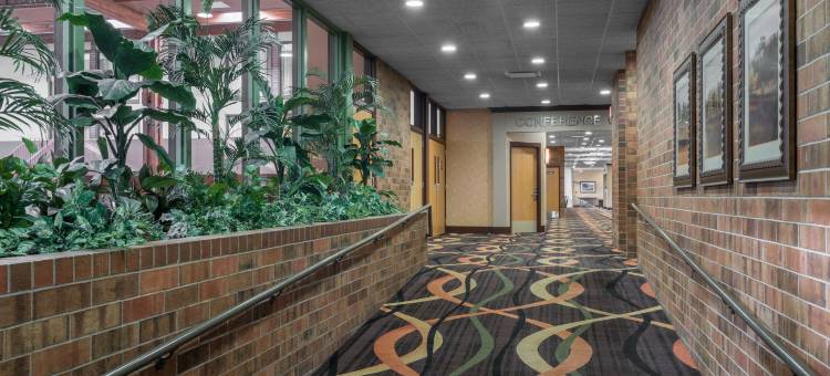 Holiday Inn & Suites ST。云(Holiday Inn & Suites ST. Cloud)图片