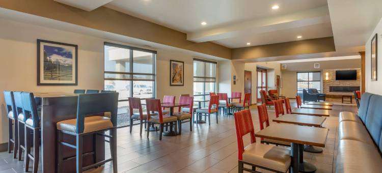 美茵斯坦套房酒店-近丹佛市区(MainStay Suites Near Denver Downtown)图片