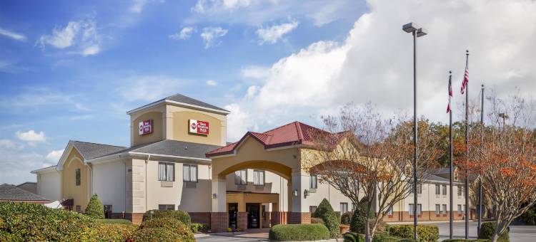 格林维尔贝斯特韦斯特优质套房酒店(Best Western Plus Suites-Greenville)图片