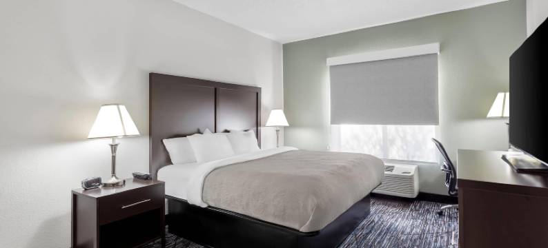 凯艺套房酒店(Quality Inn & Suites Niles)图片