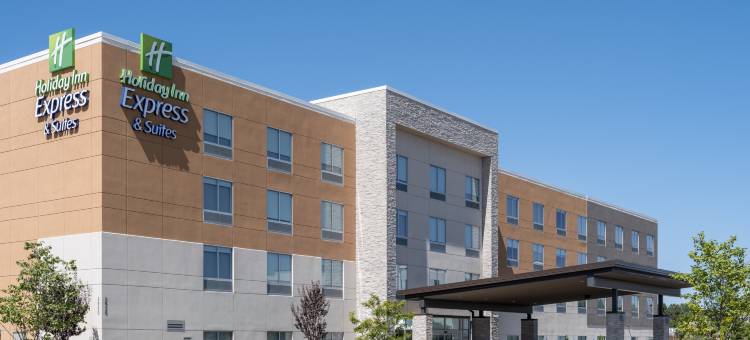 默里迪恩西博伊西智选假日套房酒店(Holiday Inn Express & Suites MERIDIAN - BOISE WEST by IHG)图片