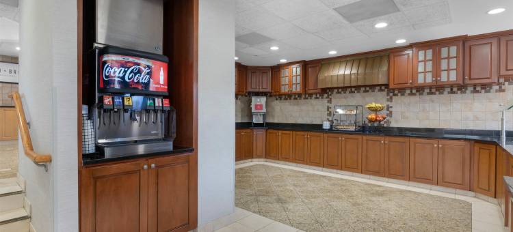 乔普林德鲁里套房酒店(Drury Inn & Suites Joplin)图片