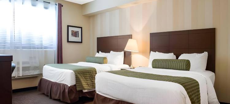凯隆酒店和会议中心(Clarion Hotel & Conference Centre)图片