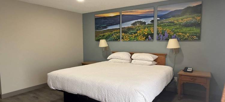 梅德福戴斯酒店(Days Inn by Wyndham Medford)图片