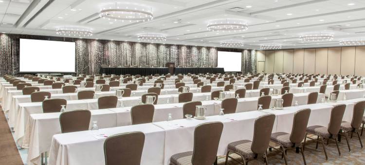 芝加哥奥黑尔皇冠假日酒店与会议中心(Crowne Plaza CHICAGO OHARE HOTEL & CONF CTR by IHG)图片
