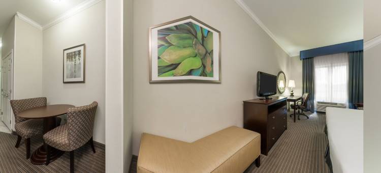 智选假日套房酒店新伊比利亚 - 艾利岛(Holiday Inn Express & Suites NEW IBERIA-AVERY ISLAND by IHG)图片